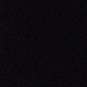 Meet your Posher, Bailey